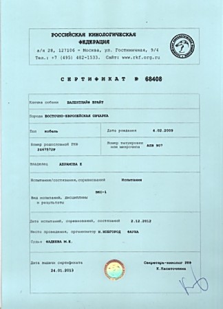 Сертификат об отсутствии дисплозии у Валентлайф Брайта