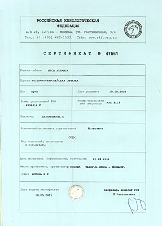 Восточноевропейская овчарка  - родословная Ялса Атланта - сертификат ОКД1