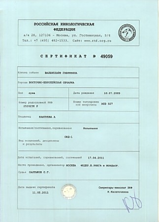 Восточноевропейская овчарка  - родословная Валентлайф Габриэлла - сертификат ОКД1