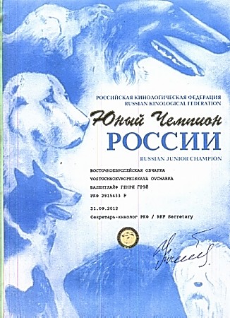 Сертификаты Валентлайф Генри Грэя