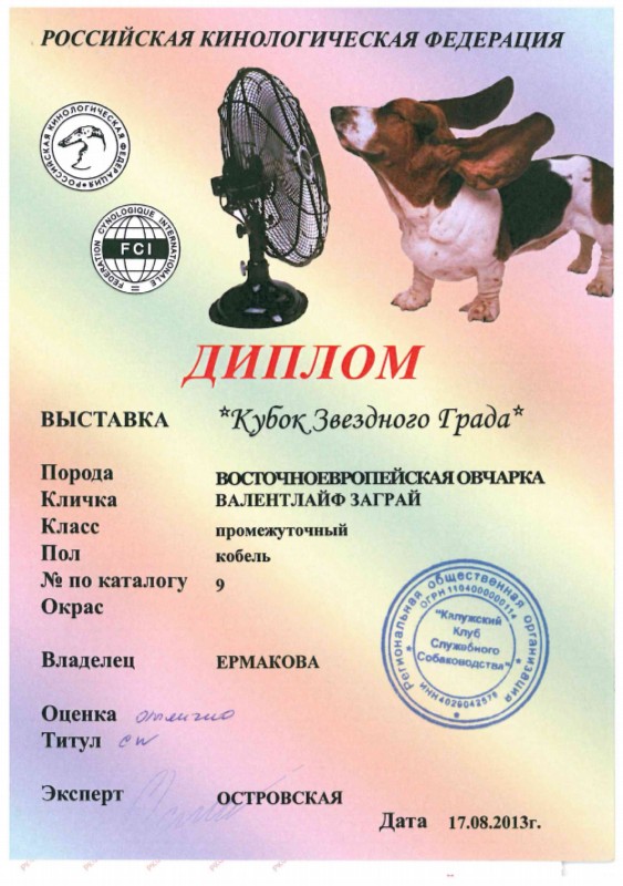 Восточноевропейская овчарка  - щенок Валентлайф  Заграй