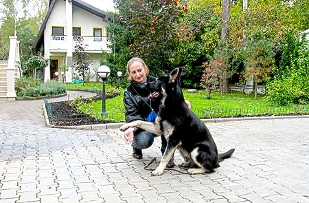Восточноевропейская овчарка  - щенок Данзэс Легран